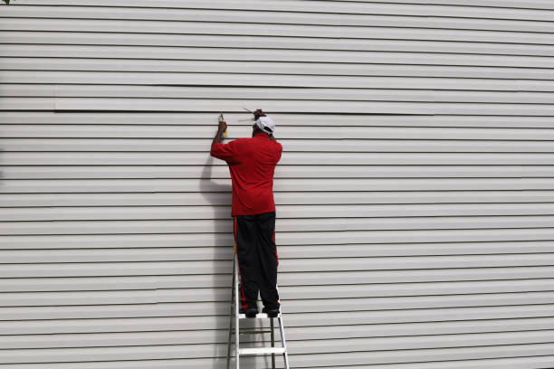 Best Composite Siding  in Sa Conejo, CA