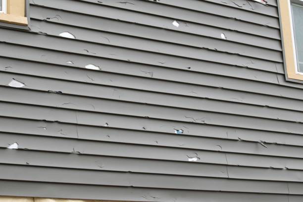 Best Residential Vinyl Siding Installation  in Sa Conejo, CA