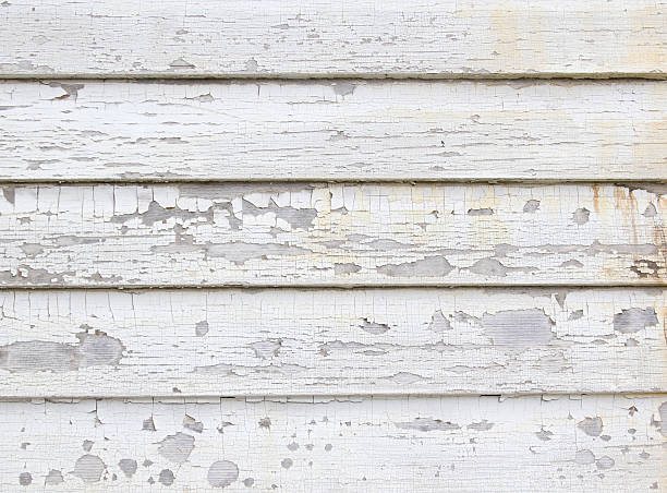 Best Custom Siding Design  in Sa Conejo, CA